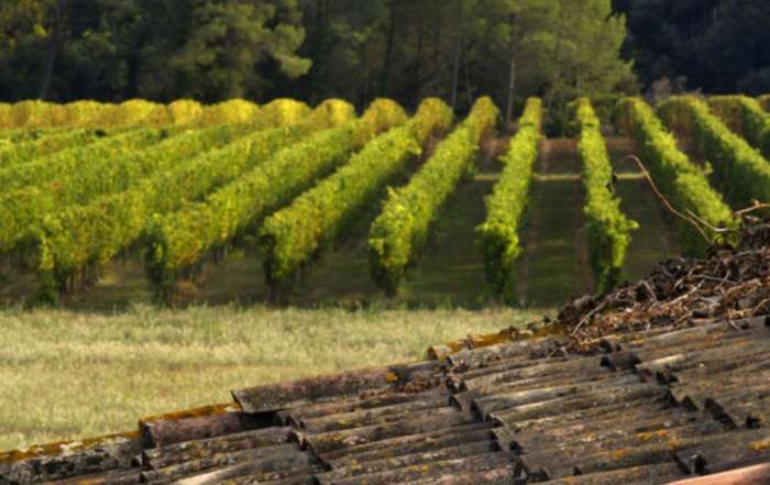 FINE #WineTourism Marketplace